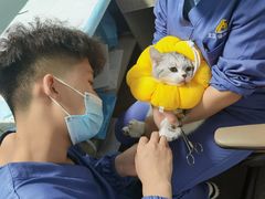 -半岛宠物医院24小时(科华中路店)