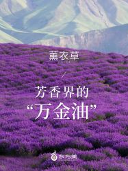 -东方美美容SPA会所