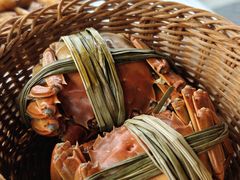 -蟹村草堂·苏式园林人文农家·大闸蟹