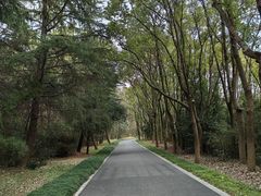 -昆山城市生态森林公园