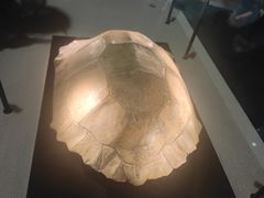-金沙遗址博物馆