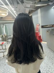 -天使之手plus