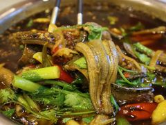 冷锅脆鳝鱼-高坎一品甲鱼庄(两河店)