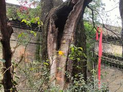 -西安关中民俗艺术博物院