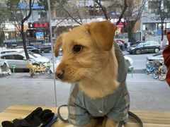 -艾贝尔宠物医院 ·中兽医·宠保定点(北门桥店)