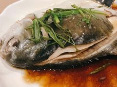 清蒸石斑-Isla Sugbu Seafood City