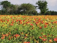 -汉长安城未央宫国家考古遗址公园