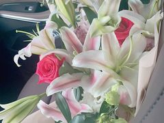 -天猫养车贴膜轻改·蓝电(优匹康桥东路店)