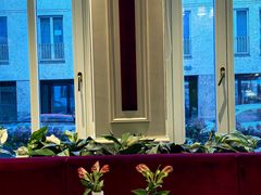 -Cafe Sacher(WIEN)
