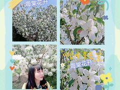 -鹏欣水游城