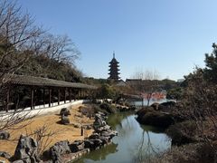 -苏州吴宫泛太平洋酒店