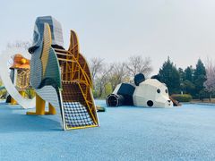 -青龙湖公园