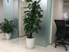 -中国建设银行(上海国定路支行)