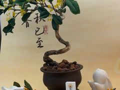 -嘉华鲜花饼·现烤(昆明老街店)