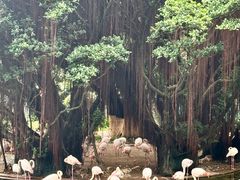 -九龙公园