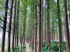 -云龙湖旅游景区