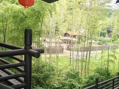 -大唐贡茶院
