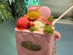 香榭假日外带冰淇淋杯-哈根达斯(南京德基广场店)