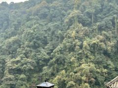 -碧峰峡风景区