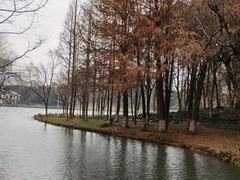 -新洲生态园