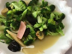 -丁老爷子苏香圆