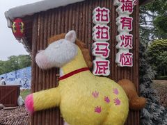 -无锡梅园公园