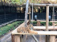 -广州长隆野生动物世界