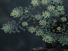 -沧浪亭