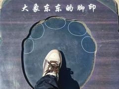 -太原动物园