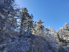 -瓦屋山景区
