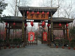 -合肥滨湖国家森林公园