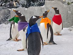 -波塞冬旅游度假区