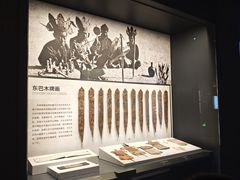 -四川大学博物馆