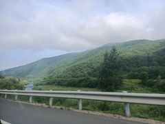 -元奶奶包饭(公新银浦店)