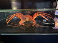-同济大学四平路校区深海探索馆