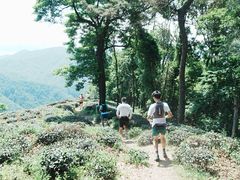 -西湖风景区十里琅珰-五云山