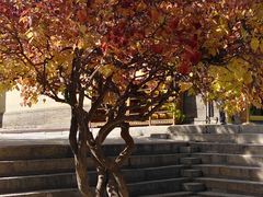 -西宁市东关清真大寺