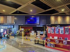 -万达影城(闵行颛桥万达广场杜比影院店)