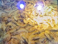 -圣罗巴海鲜烤肉自助(佳兆业店)