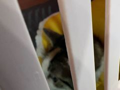 -守诺宠物医院·眼科· 特色牙科·异宠专科(虹口店)