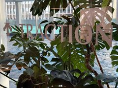 -TRACTION 运动中心(金融街店)