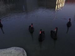 -中国浦东干部学院