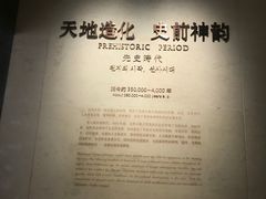 -侵华日军南京大屠杀遇难同胞纪念馆-停车场