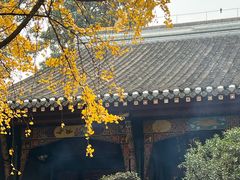 -青羊宫