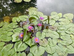 -云溪植物园