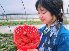 -普迪生态园