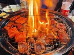 羊腰子-吉志烤肉(太原总店)