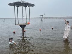 -碧海金沙