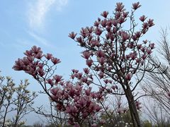 -永定河休闲森林公园