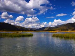 -鹤之洲湿地公园